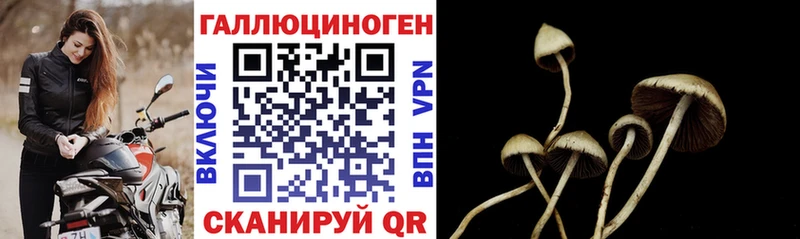 Псилоцибиновые грибы Magic Shrooms  Щигры 
